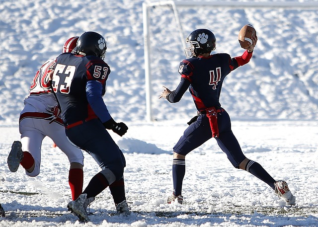 迈阿密大师赛决赛看点：德约VS哈恰克，谁能晋级决赛？.